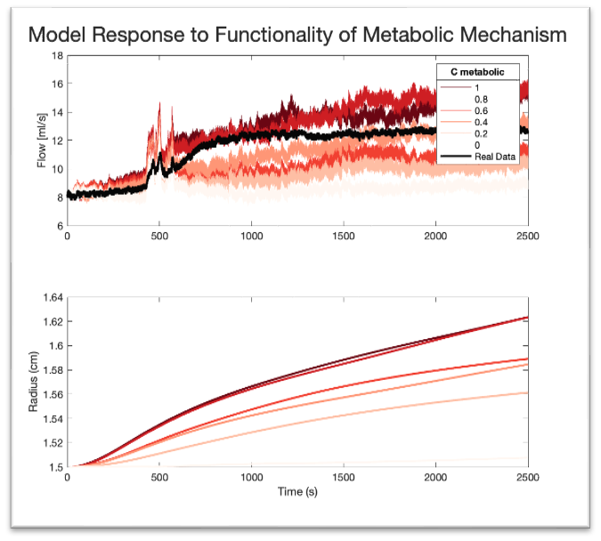 Model response to functionality of metabolic reactivity