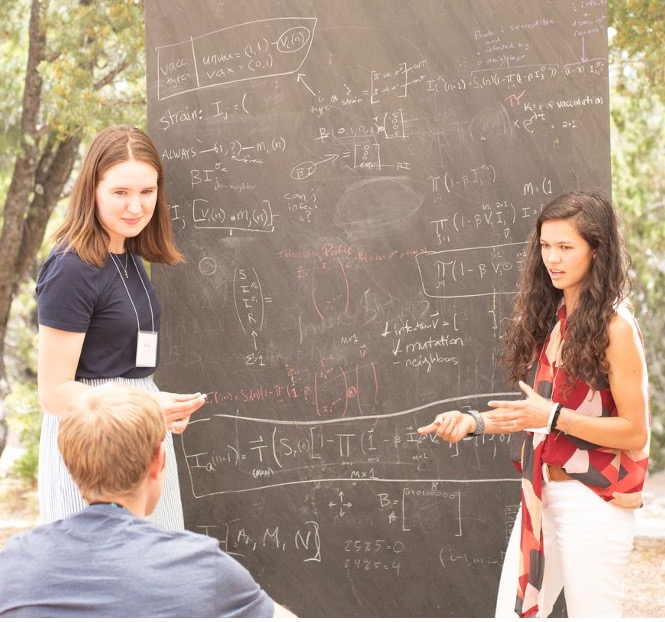 Working on projects at the Sante Fe Institute's Complex Systems Summer School